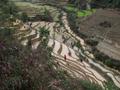 #3: Terraces nearby the confluence.