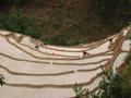 #6: Terraced landscape near confluence.