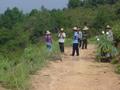 #4: A group of workers clearing the undergrowth on a hillside, with the confluence below them on the left, 100 metres west