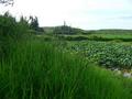 #9: Facing east.