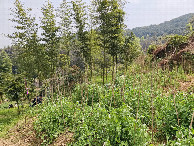 #3: View East