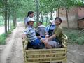 #10: Dong Lili standing, and Jim, Nur and Xiao Xu sitting on tiny wooden stools in back of truck.