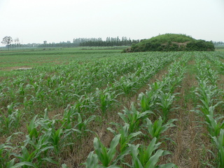 #1: Looking north, towards the ancient burial mound