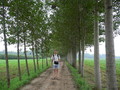 #4: Targ on the tree-lined dirt road that leads into Zhāngzhuāng Village