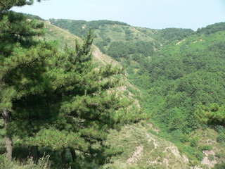 #1: Facing east