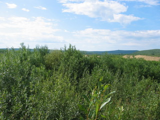 #1: The Confluence as seen from the Knoll