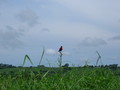 #2: Picture from the confluence, towards the North