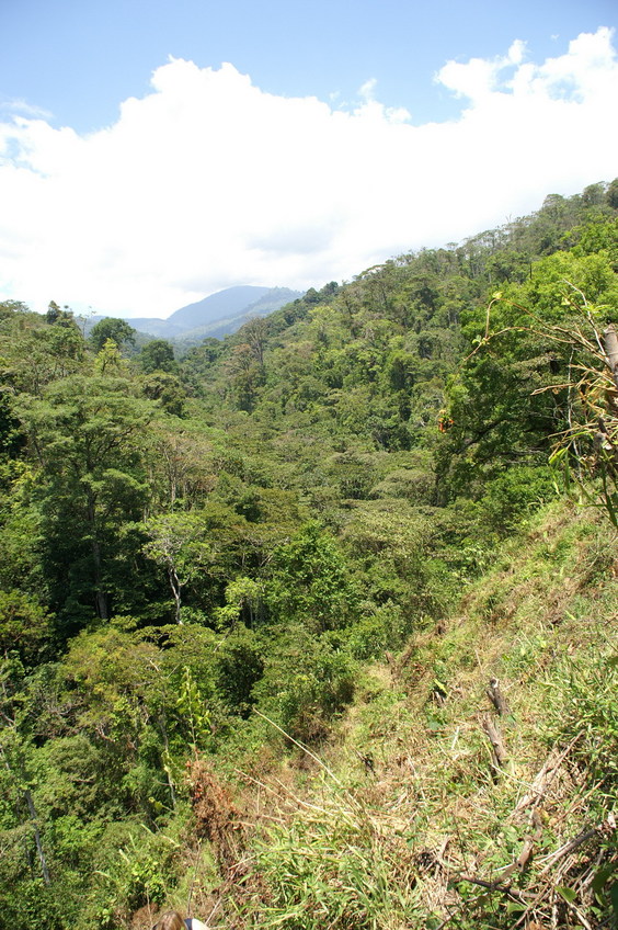 General area, looking north-east