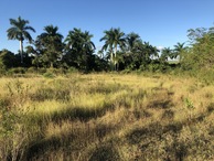 #4: View to the North