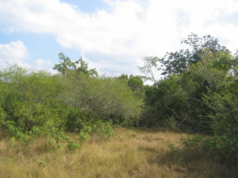 The Confluence from 20 m