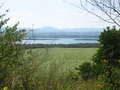 #10: General Area (from 500 m, view towards the south)