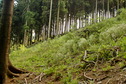 #2: South view