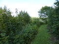 #2: East view
