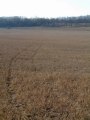 #2: Vehicle track from the road leading down to the marker beacon at the N50 E15 confluence.