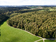 #11: View West, from 120m above the point