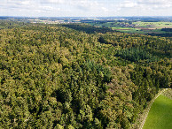 #9: View East, from 120m above the point