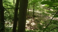 #3: View to south