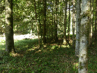 #3: North view