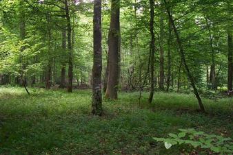 #1: View from the confluence / Blick vom Confluence Punkt