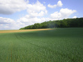 #2: View to the north