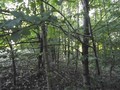 #3: South