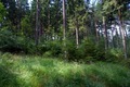 Visit #13: [16-Jul-16]