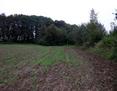 #3: View South