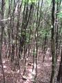 #2: East