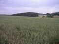 #4: West