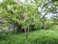 #4: View to the South