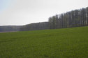 #3: View East