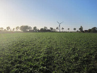 #4: Westen; view west