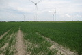 Visit #7: [12-May-11]