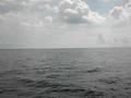 #4: South