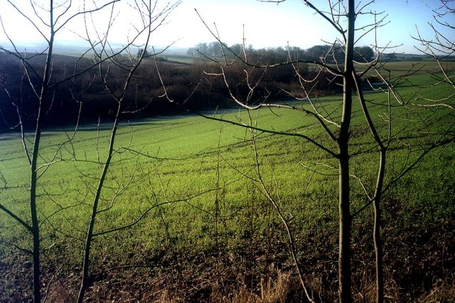 View west