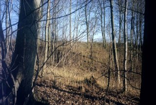 #1: View east