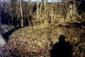 #4: View north
