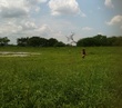 #10: vadeando con serpientes !!!. Wadding with snakes