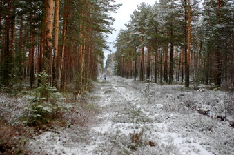 #1: North view