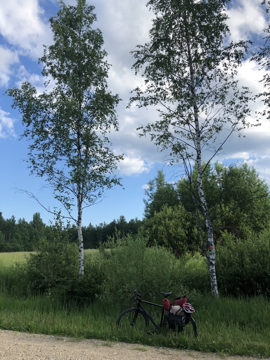 Bicycle Parking at the Confluence