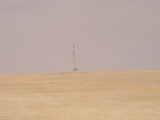 #1: The view to the north with telephone mast as the only feature that can be seen from the Confluence.