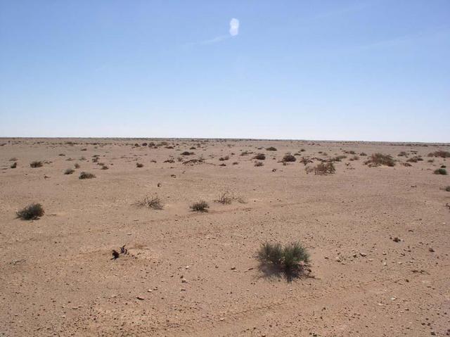 Confluence view south