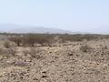 #2: View looking northwest from the Confluence