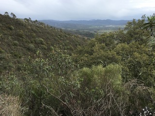 #1: The Confluence from 10 m distance