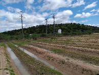 #2: Osten; view east