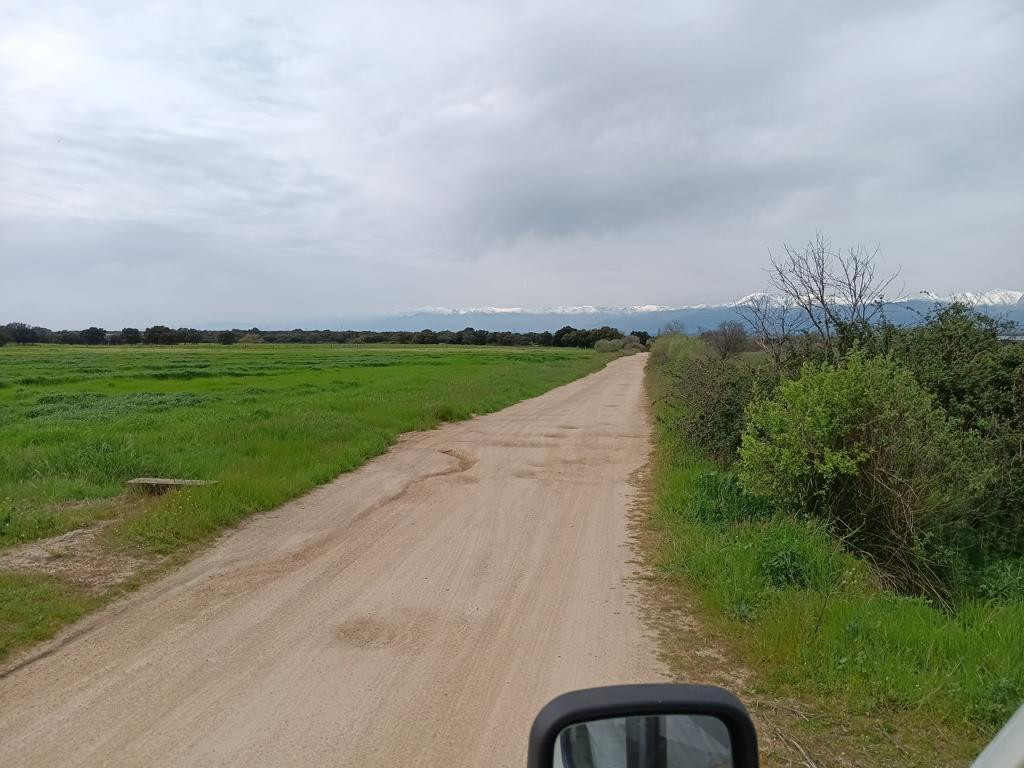 track towards CP from parking