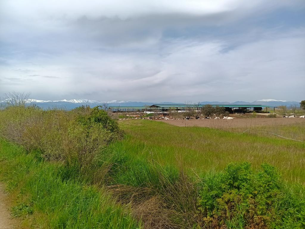 cattle shelter on way to CP