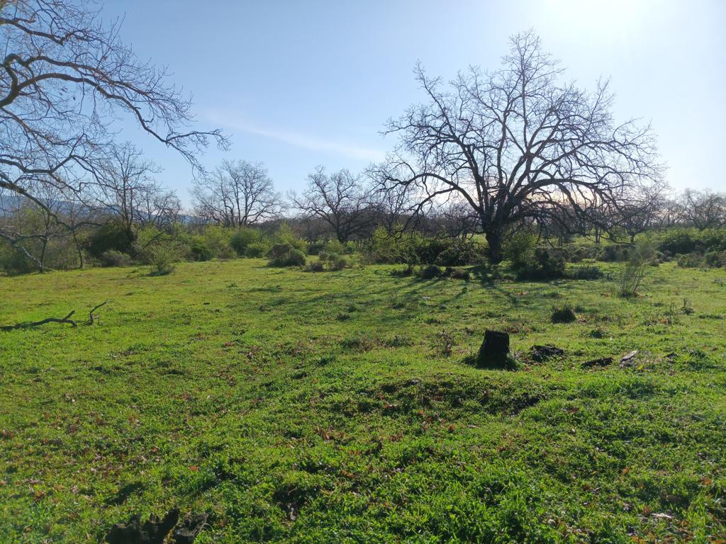 Osten; view east