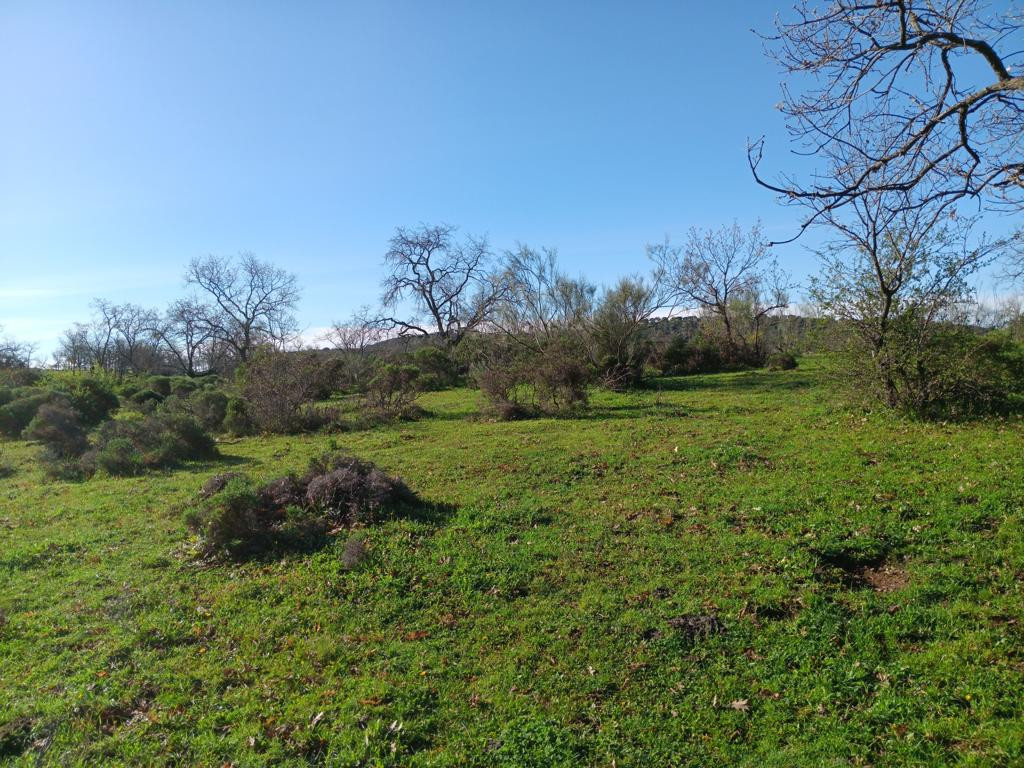 Süden; view south