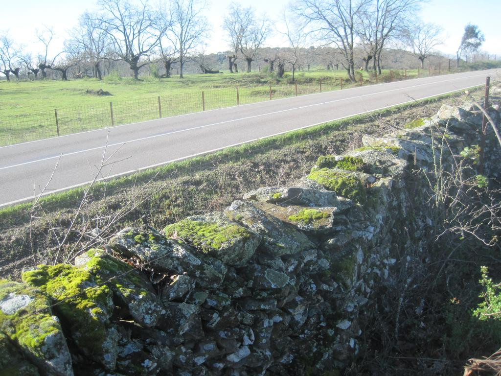 stonewall-fence combination